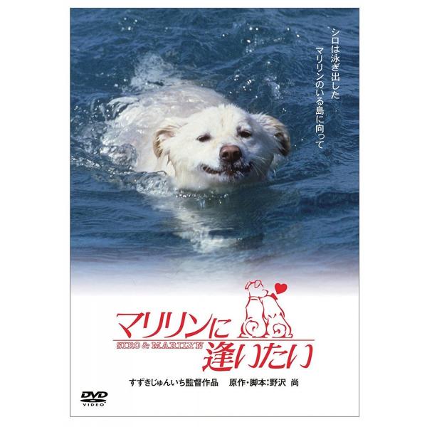 新品 DVD 限定生産 「きな子~見習い警察犬の物語~」DVD発売記念　 犬だワンダフルキャンペーン...