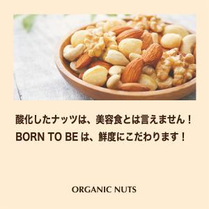 ローストナッツ100g ミックスナッツ オーガ...の詳細画像3