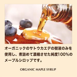 グラノーラ 糖質オフ オーガニックメープル 4...の詳細画像5