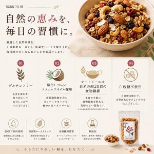 グラノーラ 糖質オフ 選べる180g×3個 無...の詳細画像1