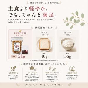 グラノーラ 糖質オフ 選べる180g×3個 無...の詳細画像5