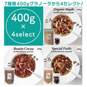 グラノーラ 糖質オフ 400g×4個 無添加 砂糖不使用 グルテンフリー オーガニック 素材 シリアル 低GI オートミール ナッツ