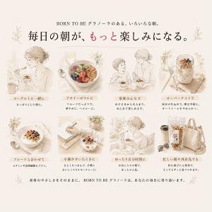 グラノーラ 糖質オフ 選べる400g×4個 無...の詳細画像4