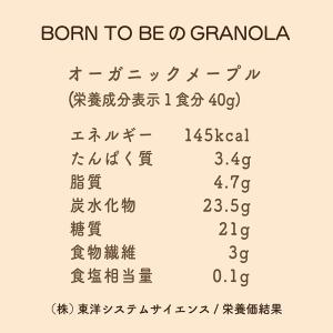 グラノーラ No2 メープル フルーツ シナモ...の詳細画像4