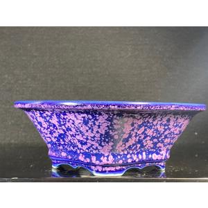 盆栽小鉢：美芸（常滑）六角鬼面足面付鉢 15.5cm*資材 : 遊恵