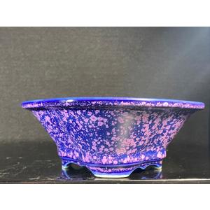 平安泉山 紫結晶木瓜式鉢(大) 5.5号の詳細画像1