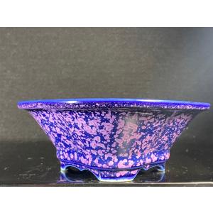 平安泉山 紫結晶木瓜式鉢(大) 5.5号の詳細画像3