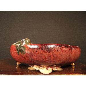 盆栽小鉢：美芸（常滑）六角鬼面足面付鉢 15.5cm*資材 : 遊恵