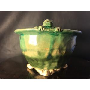 盆栽小鉢：美芸（常滑）六角鬼面足面付鉢 15.5cm*資材 : 遊恵