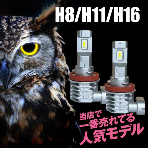 LEDフォグランプ 8000LM LED フォグ H8 H11 H16 LED ヘッドライト LED...