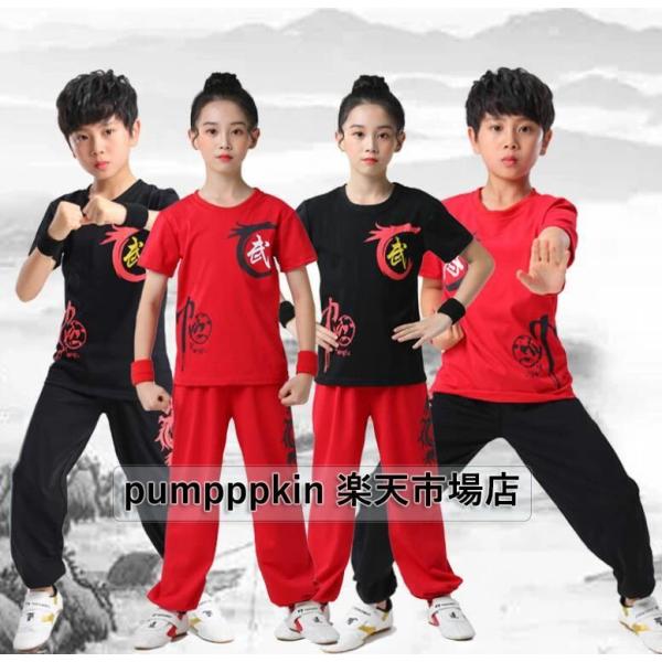 太極拳専門服 カンフー 武術 チャイナ風 子供〜大人 上下セットアップ Tシャツ パンツ 練功服 中...