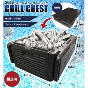 折りたたみ式クーラーボックス CHILL CHEST 39L HAC2-0325 YY HAC ハック 保冷バッグ クーラーボックス 大容量 冷却 保温 軽量 900g