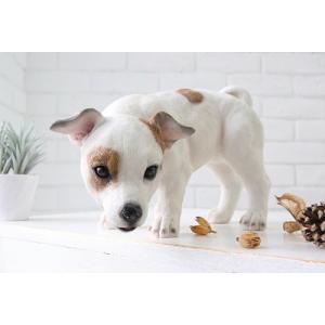 パピージャック テリー TS-22 YY CR4 COVENT GARDEN ディスプレイ 動物 アニマル いぬ イヌ 置物 おしゃれ インテリア コレクションの商品画像