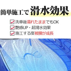 ランキング1位 コーティング剤 最強 極艶 滑...の詳細画像4