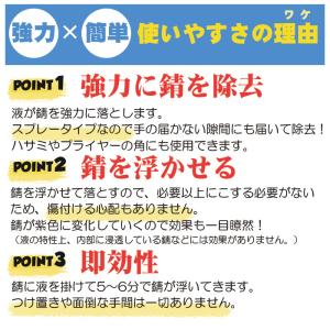 釣具 サビ落とし 錆取り スプレー AQUA ...の詳細画像5