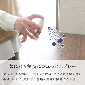 除菌スプレー 除菌クリーナー アルコール 除菌...の詳細画像2
