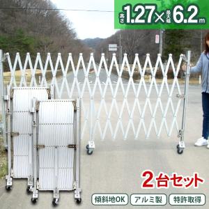 伸縮門扉 門扉 フェンス アルミゲート EXG1560 両開き 2台セット