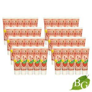 ジーシー こども用はみがき ストロベリー 40g×40本セット