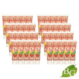 ジーシー こども用はみがき ストロベリー 40g×40本セット