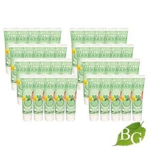 ジーシー こども用はみがき アップル 40g×40本セット