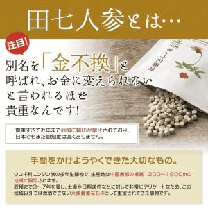 田七人参 サプリ 田七 サポニン 有機田七人参...の詳細画像2