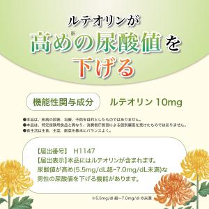 【大特価/賞味期限6月末まで】 ルテオリンサポ...の詳細画像2