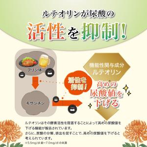 【大特価/賞味期限6月末まで】 ルテオリンサポ...の詳細画像3