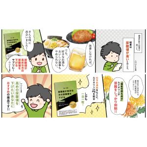 【大特価/賞味期限6月末まで】 ルテオリンサポ...の詳細画像4