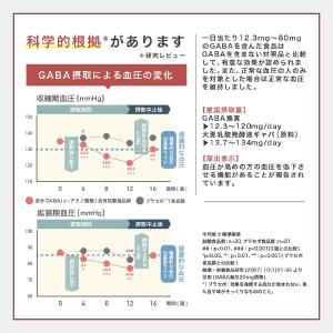 プライム製薬 高めの 血圧 下げる GABA ...の詳細画像5