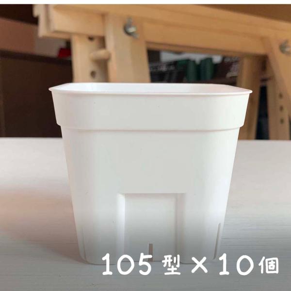 【10個セット】プレステラ105型（白/ホワイト） スリット鉢