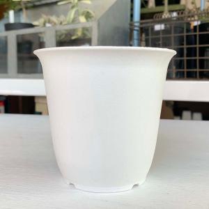 10個セット】プラスチック鉢 Bo 4号 (ホワイト/白) : Botanique Yahoo 