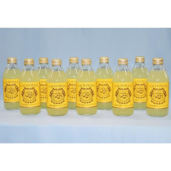 八街産 八街生姜ジンジャーエール 250ml １０本セット