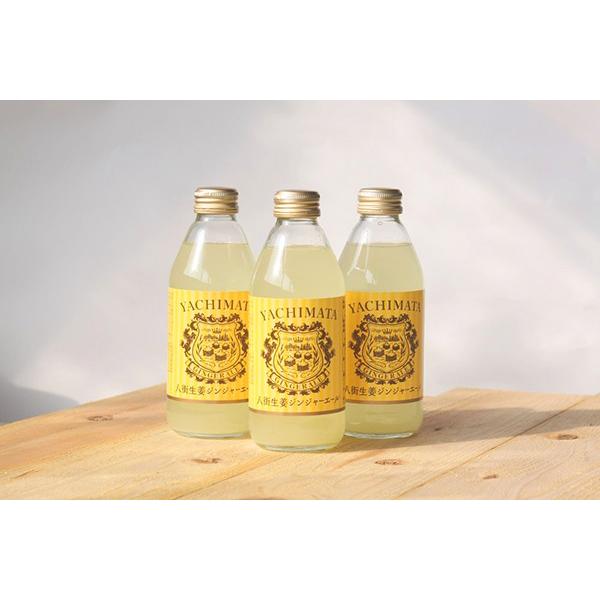 八街産 八街生姜ジンジャーエール 250ml １本