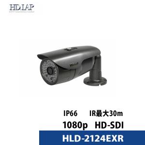 Panasonic 防犯カメラ 屋外 家庭用 HD-SDI カメラ V/Fレンズ