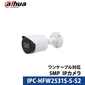 IDIS DC-D4236RX-A[防犯・監視機器]ネットワークカメラ : いーぐる