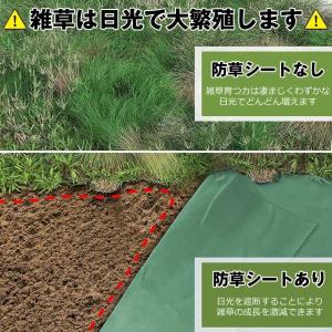 【劣化しにくい】 防草シート 不織布 1×11...の詳細画像4
