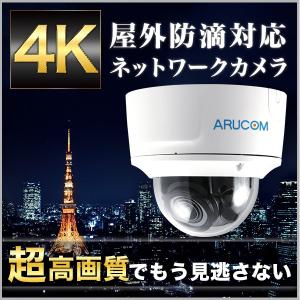 防犯カメラ IP 屋外 防滴 ドーム型 4K 800万画素 ネットワーク PoE アルコム RD-CI602｜bouhansengen