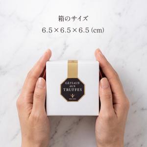 プチギフト お菓子 プレゼント TF-1 トリ...の詳細画像3