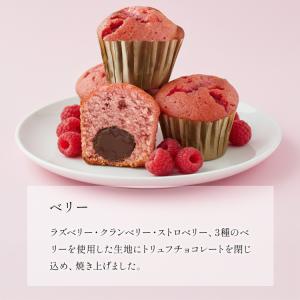 内祝 お返し 御礼 お祝い ミニトリュフケーキ...の詳細画像4