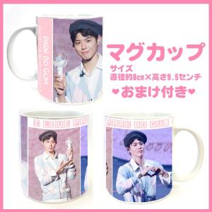 パクボゴム まとめ売り おまけ付き パクボゴム フォトコレクション 写真セット 23枚入り 韓流 グッズ