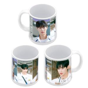 ピョンウソク ピョン・ウソク 60cm×90cmサイズ タペストリー tape0719