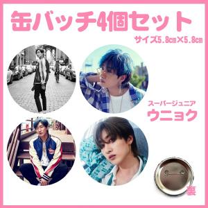 ジョンウォン エンハイフン ENHYPEN 缶バッチ 缶バッジ 4個セット