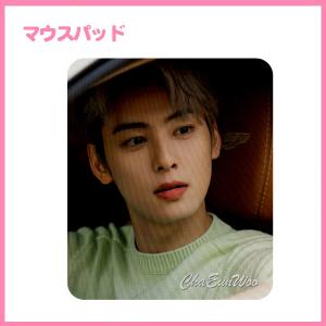 チャウヌ ASTRO アストロ ペーパースタンド 韓流 グッズ rn002-1