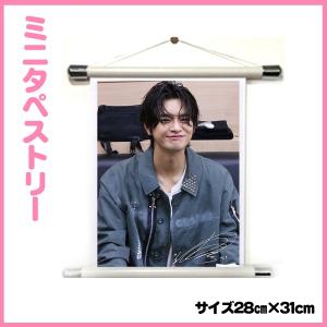 送料無料☆ソイングク　ソ・イングク　ミニタペストリー　28cm×31cm　韓流グッズ　minitape04-2｜bounceshop