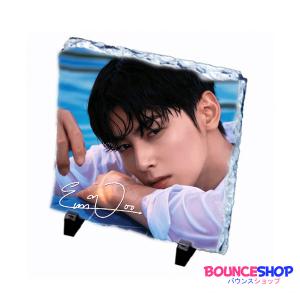 チャウヌ ASTRO アストロ ペーパースタンド 韓流 グッズ rn002-1