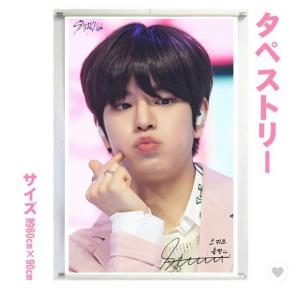 スンミン ストレイキッズ スキズ Stray Kids 下敷き 定規セット 韓流