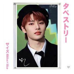 Stray Kids I.N アイエン 10枚セット Stray Kids - stray kidsぬいぐるみ アイエン 10センチ マスター