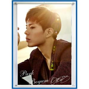 送料無料★PARKBOGUM 　パクボゴム　60ｃｍ×90ｃｍ　タペストリー [tape02-7]｜bounceshop