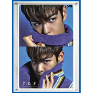 送料無料★BIGBANG　TOP　トップ　タペストリー