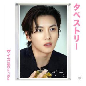 送料無料☆チチャンウク チ・チャンウク ブランケット
